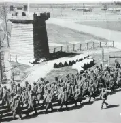 纽伦堡队奋力抗争，谋求突破