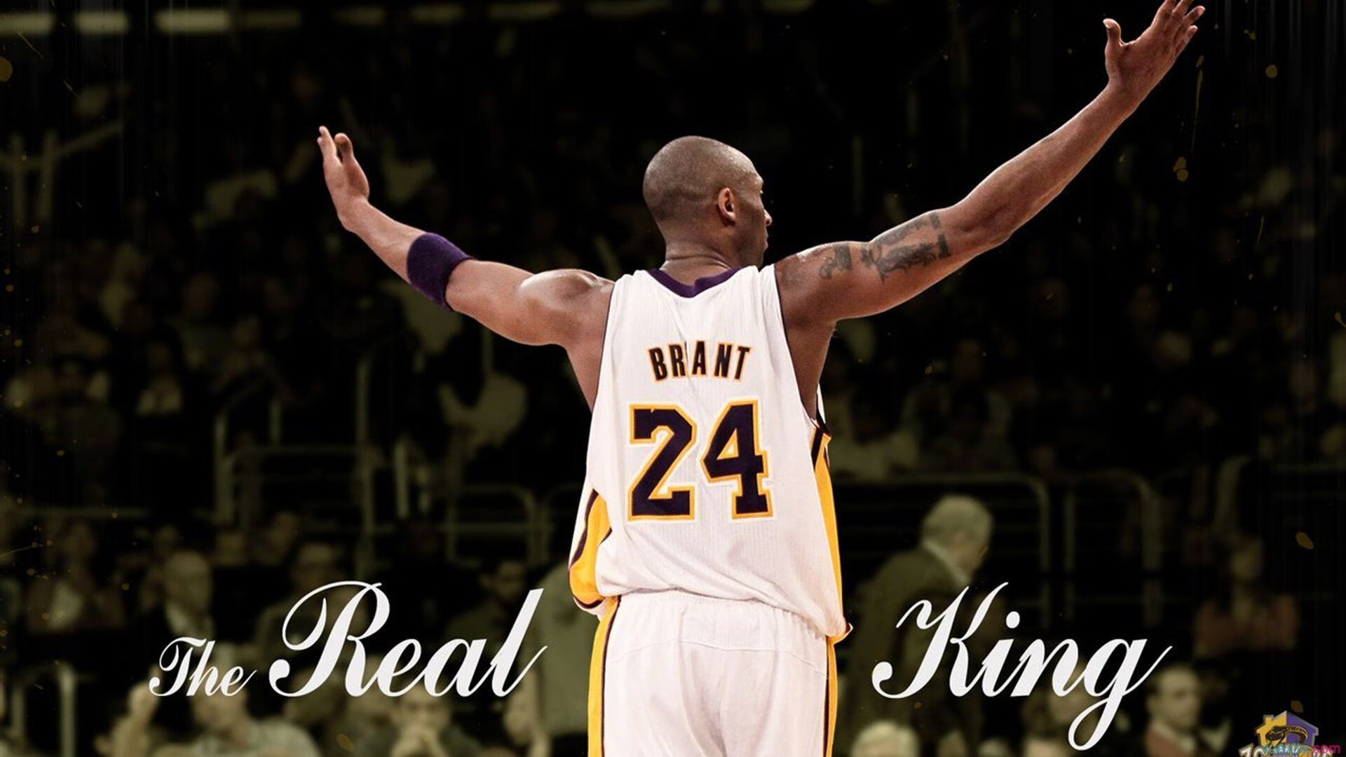 当岭南雄狮遇上南滩烈焰，西亚卡姆的攻防统治如何定义现代篮球新维度